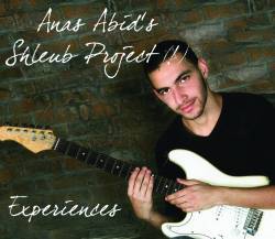Anas Abid : Experience